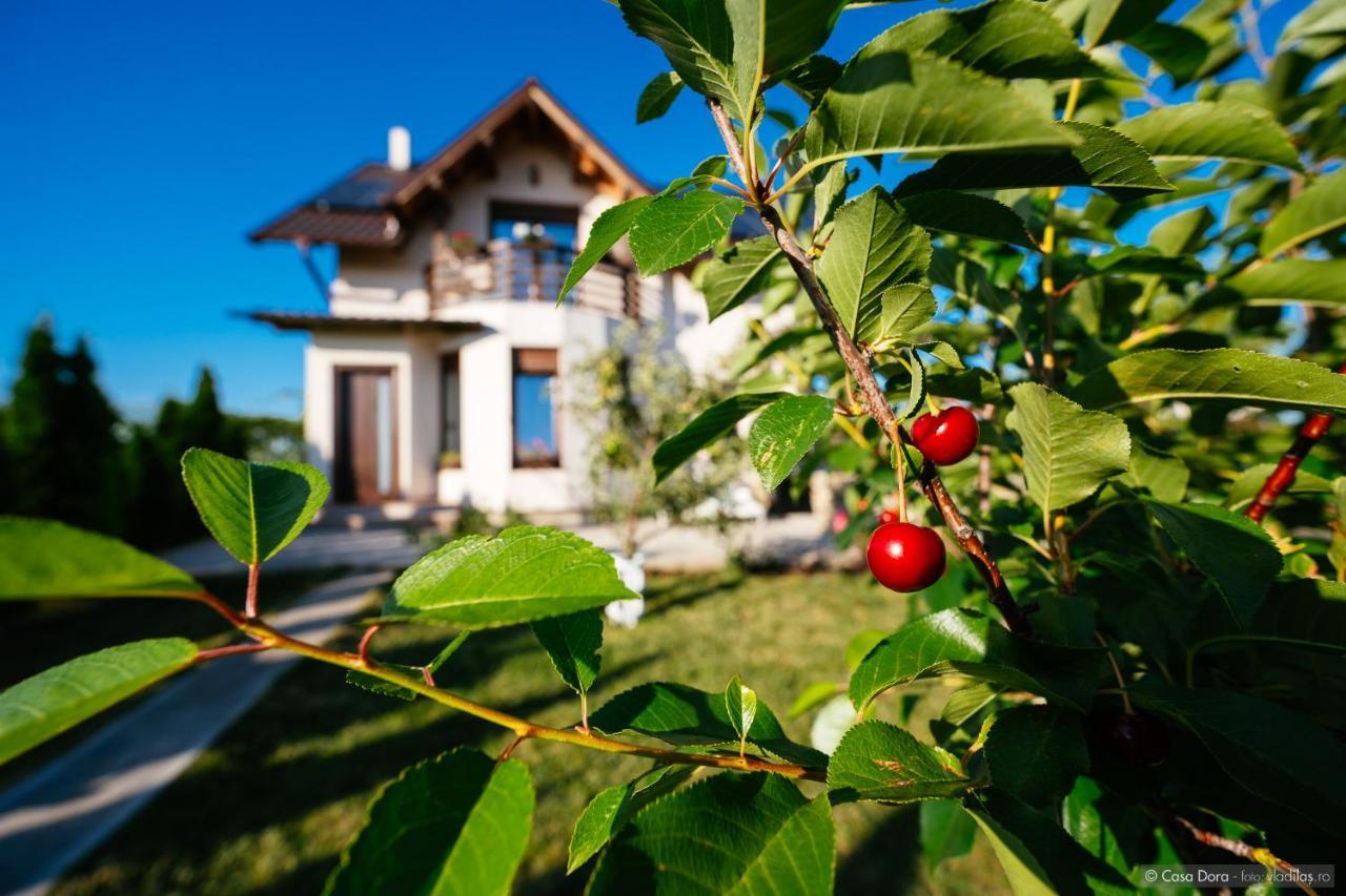 Casa Dora Hotel Szucsáva Kültér fotó